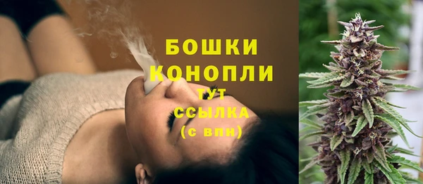 PSILOCYBIN Рославль