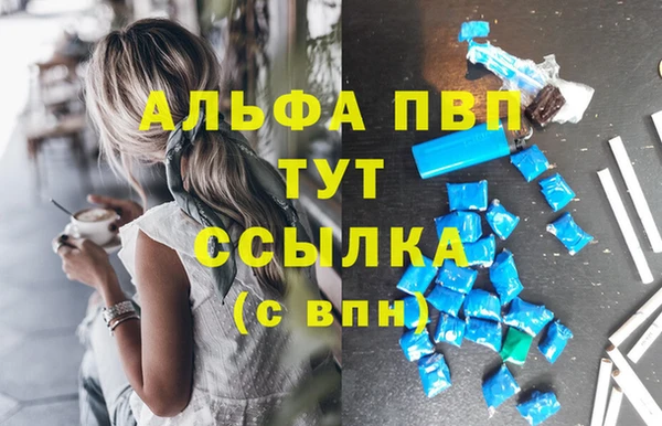 винт Лабытнанги