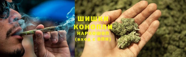 винт Лабытнанги