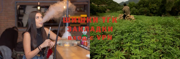 прущие крисы Ладушкин