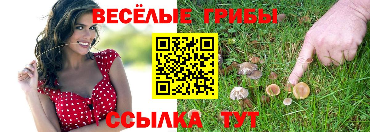 Галлюциногенные грибы Cubensis Батайск